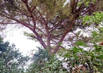 Foto 17 - Villa Viscalori
 
snc, Viagrande - foto 17