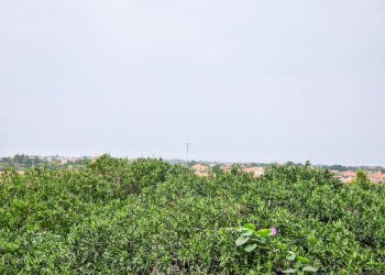 Foto 24 - Villa Viscalori
 
snc, Viagrande - foto 24