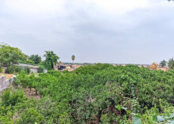 Foto 25 - Villa Viscalori
 
snc, Viagrande - foto 25