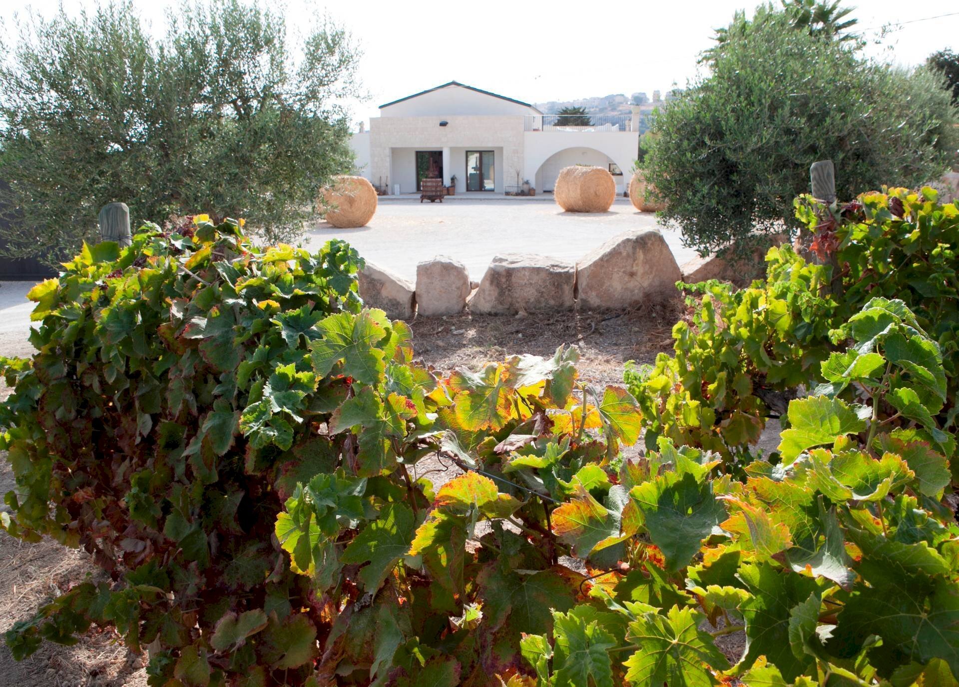 Foto 1 - Hotel contrada favara
 
snc, Ispica - foto 1