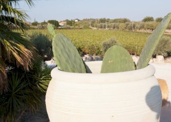 Foto 59 - Hotel contrada favara
 
snc, Ispica - foto 59