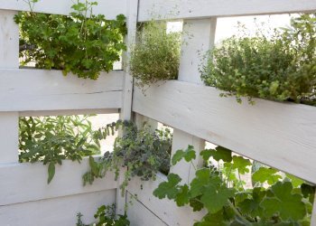 Foto 61 - Hotel contrada favara
 
snc, Ispica - foto 61