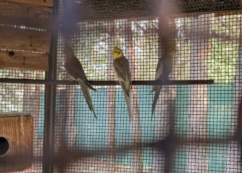 Foto 46 - Villa Menghisi
 
snc, Noto - foto 46