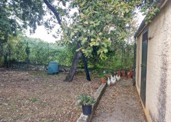 Foto 63 - Villa Menghisi
 
snc, Noto - foto 63