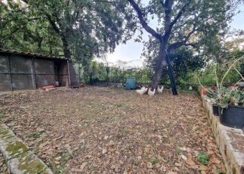 Foto 65 - Villa Menghisi
 
snc, Noto - foto 65