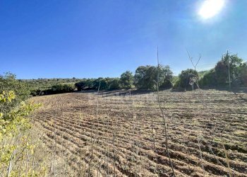 Foto 26 - Rustico sp 287, Noto - foto 26