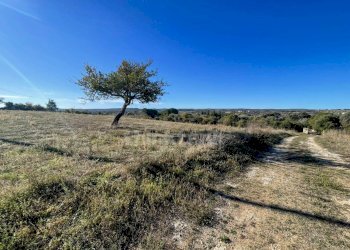 Foto 27 - Rustico sp 287, Noto - foto 27