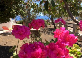 Foto 20 - Villa contrada pozzolana, Lampedusa e Linosa - foto 20