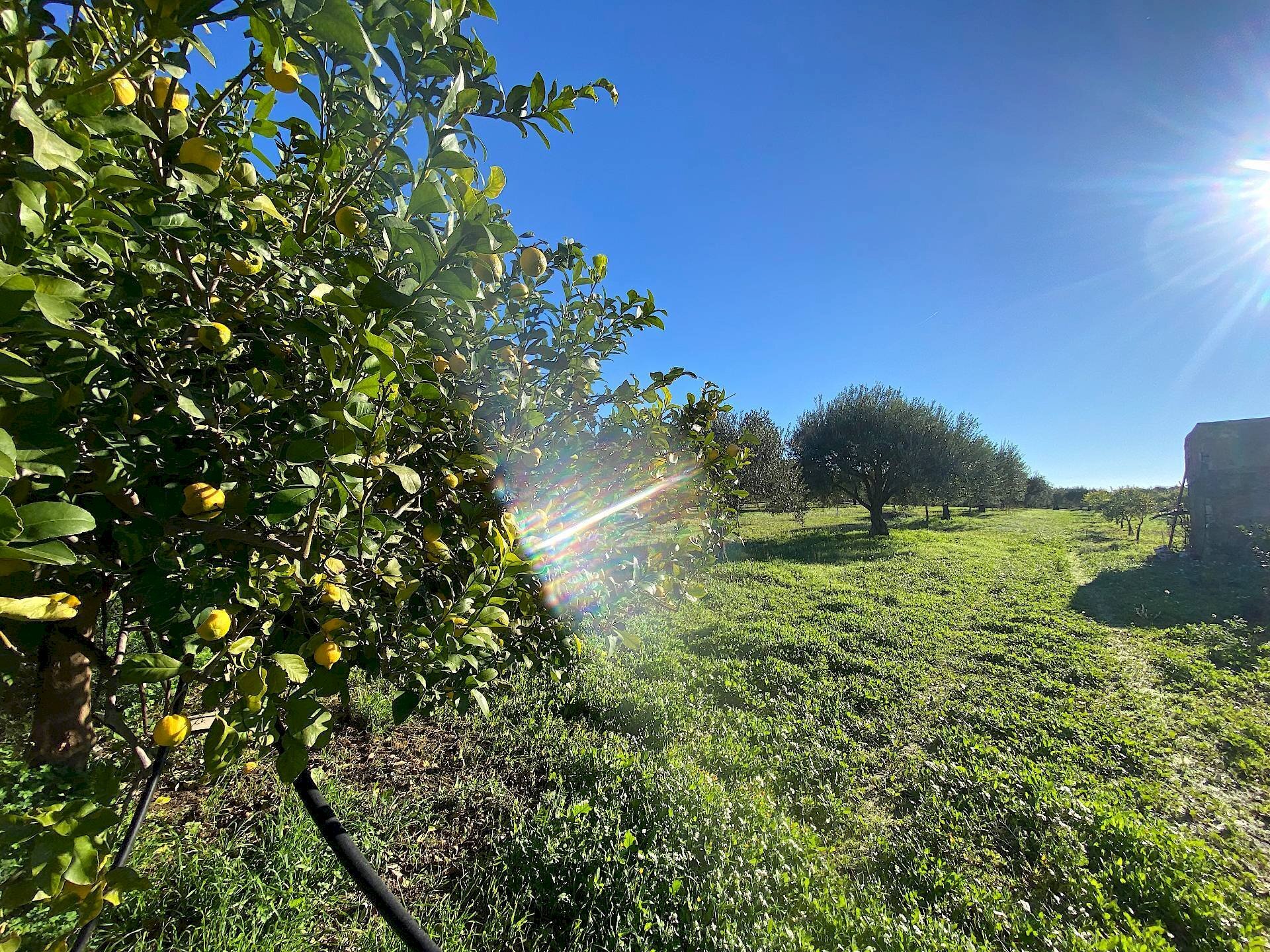 Foto 1 - Villa bommiscuro, Noto - foto 1