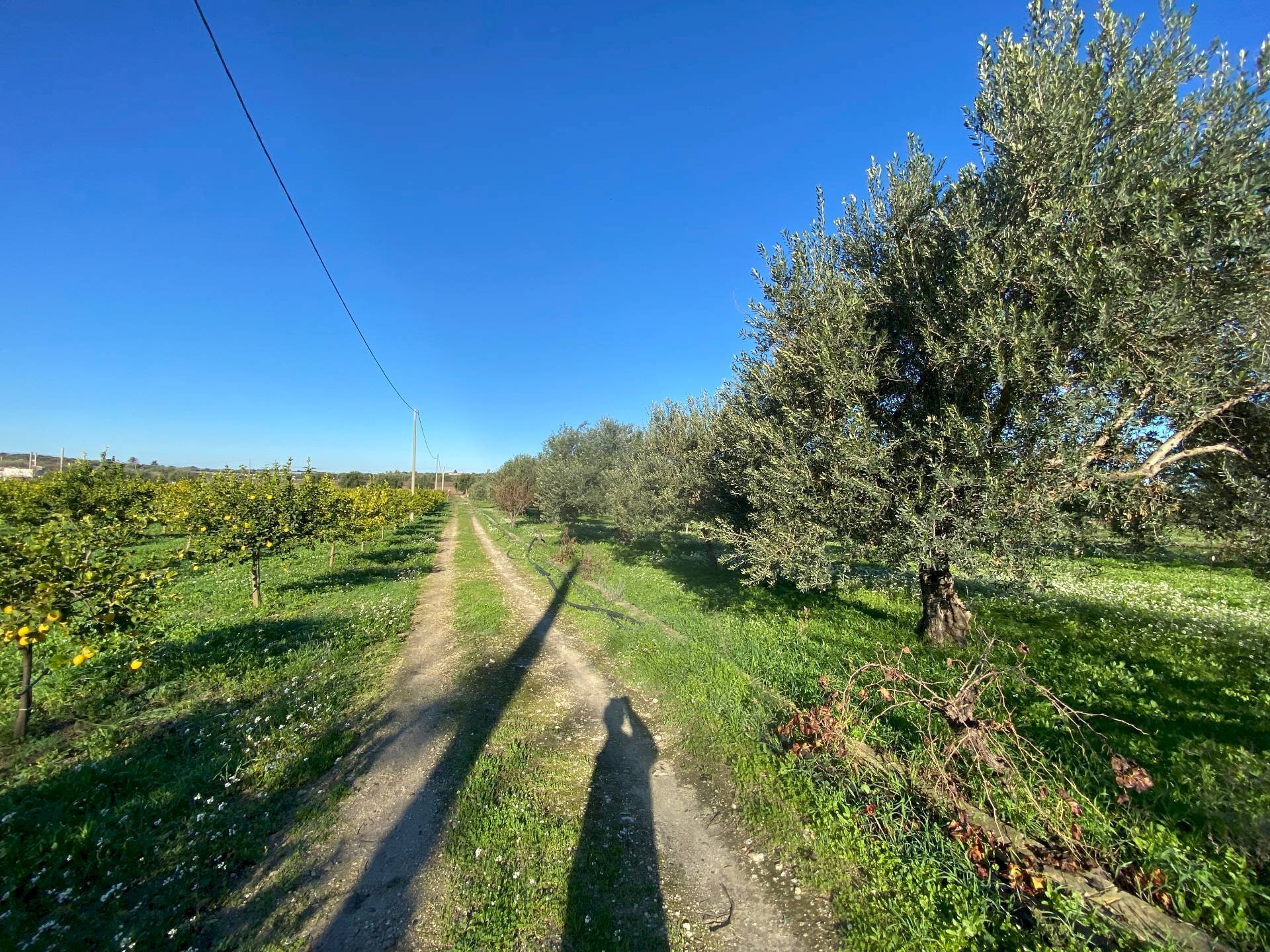 Foto 2 - Villa bommiscuro, Noto - foto 2