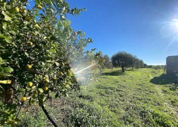 Foto 1 - Villa bommiscuro, Noto - foto 1