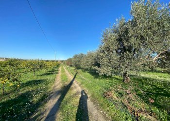 Foto 2 - Villa bommiscuro, Noto - foto 2