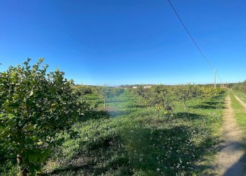 Foto 3 - Villa bommiscuro, Noto - foto 3