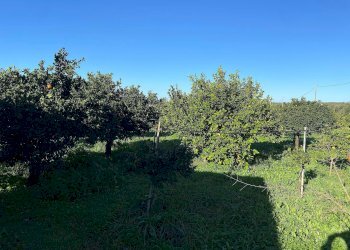 Foto 4 - Villa bommiscuro, Noto - foto 4