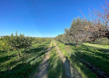 Foto 5 - Villa bommiscuro, Noto - foto 5