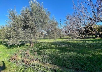 Foto 9 - Villa bommiscuro, Noto - foto 9