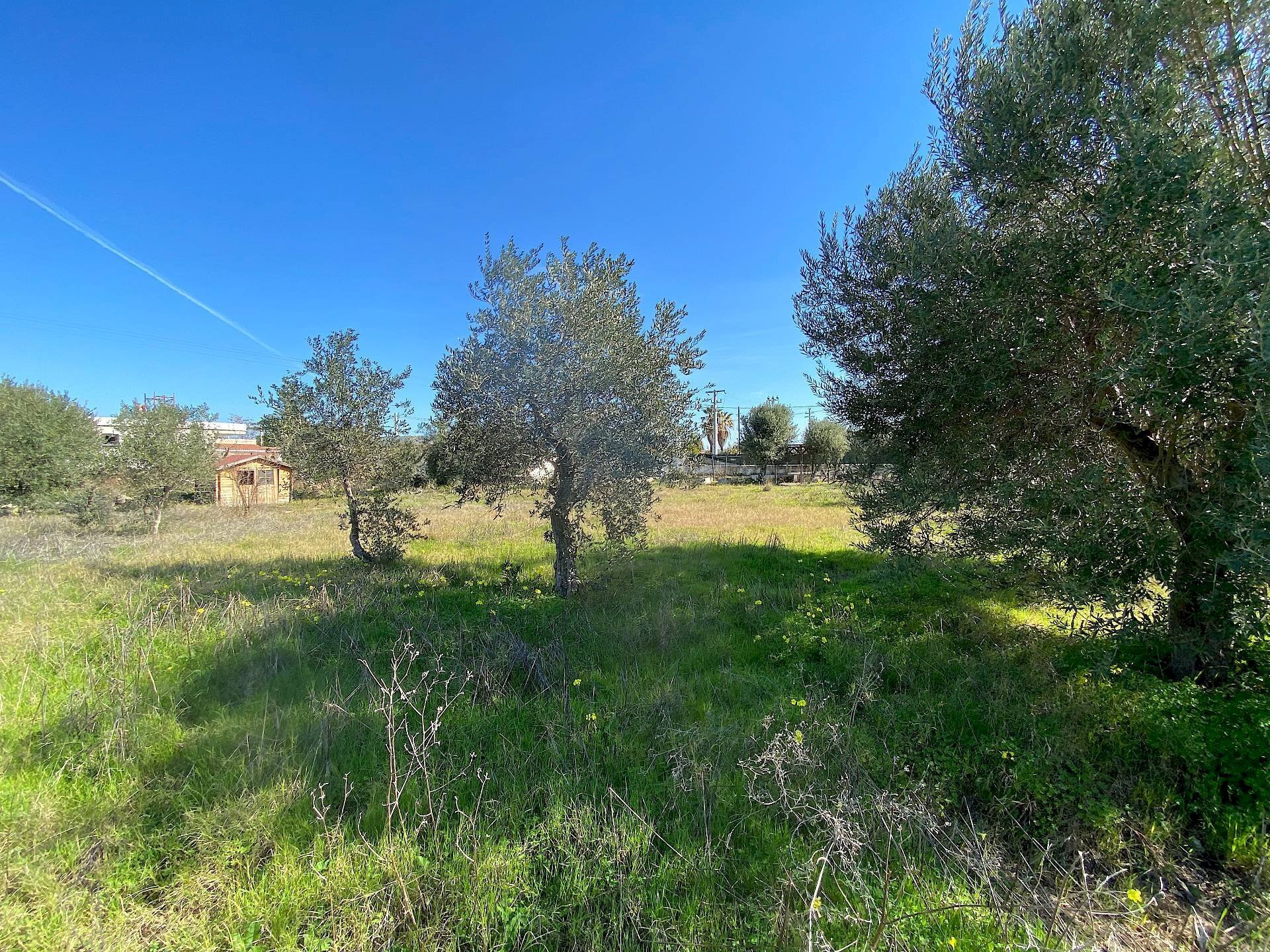 Foto 3 - Terreno edificabile traversa renella, Siracusa - foto 3