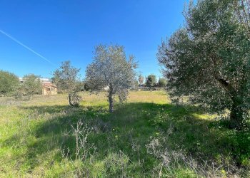 Foto 3 - Terreno edificabile traversa renella, Siracusa - foto 3