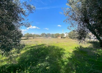 Foto 4 - Terreno edificabile traversa renella, Siracusa - foto 4