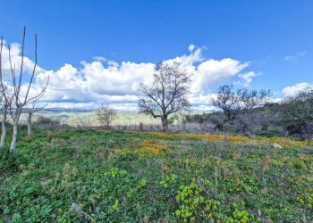 Foto 8 - Rustico contrada pacinosi
 
snc, Nissoria - foto 8