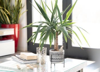 Foto 20 - Villa via Meti, Avola - foto 20