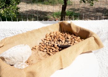 Foto 49 - Villa Strada provinciale 4
 
snc, Avola - foto 49