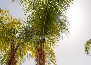 Foto 55 - Villa Strada provinciale 4
 
snc, Avola - foto 55