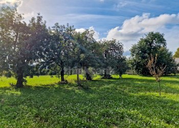 Foto 35 - Villa Contrada Cozzo lupo
 
snc, Noto - foto 35