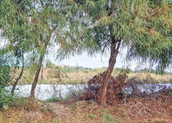 Foto 21 - Villa Villaggio Porto San Leonardo
 
snc, Augusta - foto 21