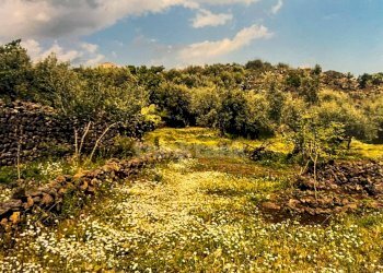 Foto 7 - Rustico Contrada Capreria
 
snc, Ragalna - foto 7