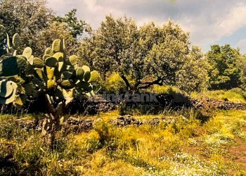 Foto 8 - Rustico Contrada Capreria
 
snc, Ragalna - foto 8