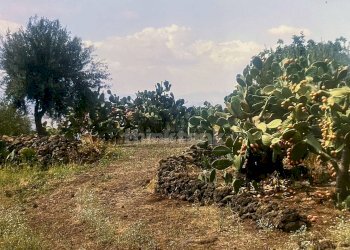 Foto 11 - Rustico Contrada Capreria
 
snc, Ragalna - foto 11