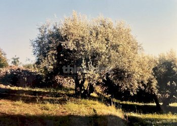 Foto 13 - Rustico Contrada Capreria
 
snc, Ragalna - foto 13