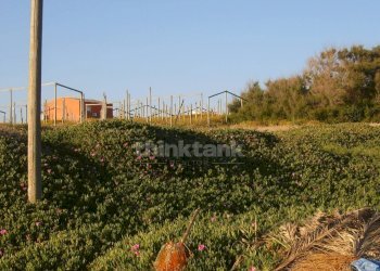 Foto 5 - Terreno edificabile Via Riviera Lanterna
 
snc, Vittoria - foto 5