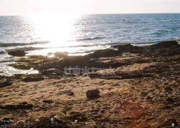 Foto 6 - Terreno edificabile Via Riviera Lanterna
 
snc, Vittoria - foto 6