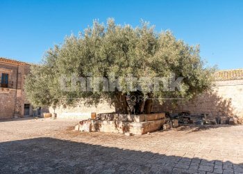 Foto 9 - Rustico Contrada scalonazzo
 
snc, Ragusa - foto 9