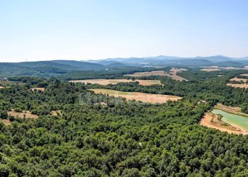 Foto 12 - Rustic Chiusdino
 
snc, Chiusdino - photo 12