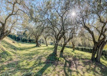 Foto 21 - Villa Via Del Giardino
 
snc, Massarosa - foto 21