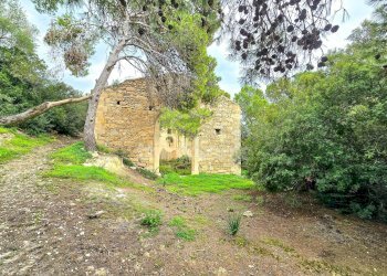 Foto 13 - Rustic Strada per Vittoria, Vittoria - photo 13