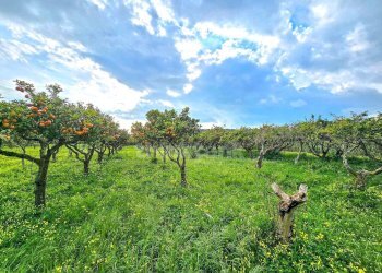 Foto 16 - Rustic Strada per Vittoria, Vittoria - photo 16