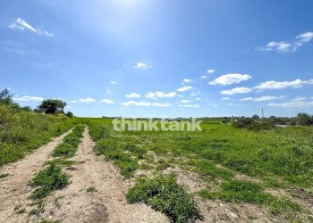 Foto 1 - Terreno agricolo s.lorenzo IX strada
 
snc, Noto - foto 1