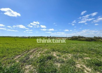 Foto 4 - Terreno agricolo s.lorenzo IX strada
 
snc, Noto - foto 4