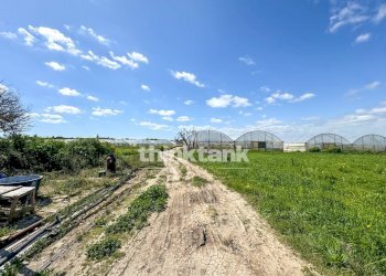 Foto 7 - Rustico Contrada Sciubbia, Noto - foto 7