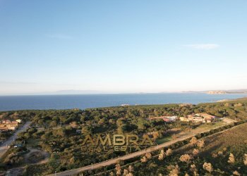 Foto 5 - Terreno edificabile Aglientu - foto 5