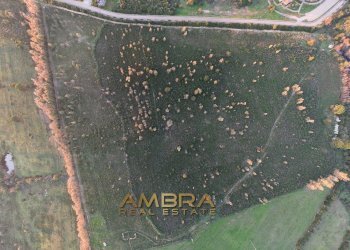 Foto 7 - Terreno edificabile Aglientu - foto 7