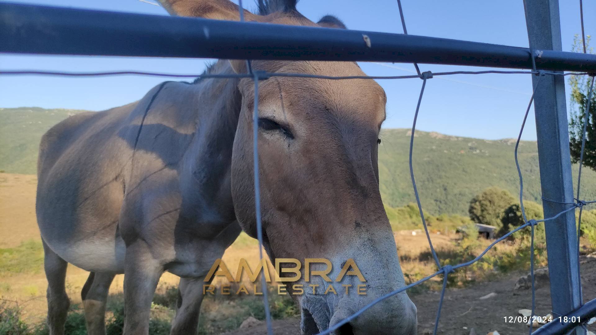 Foto 1 - Rustico Oschiri - foto 1