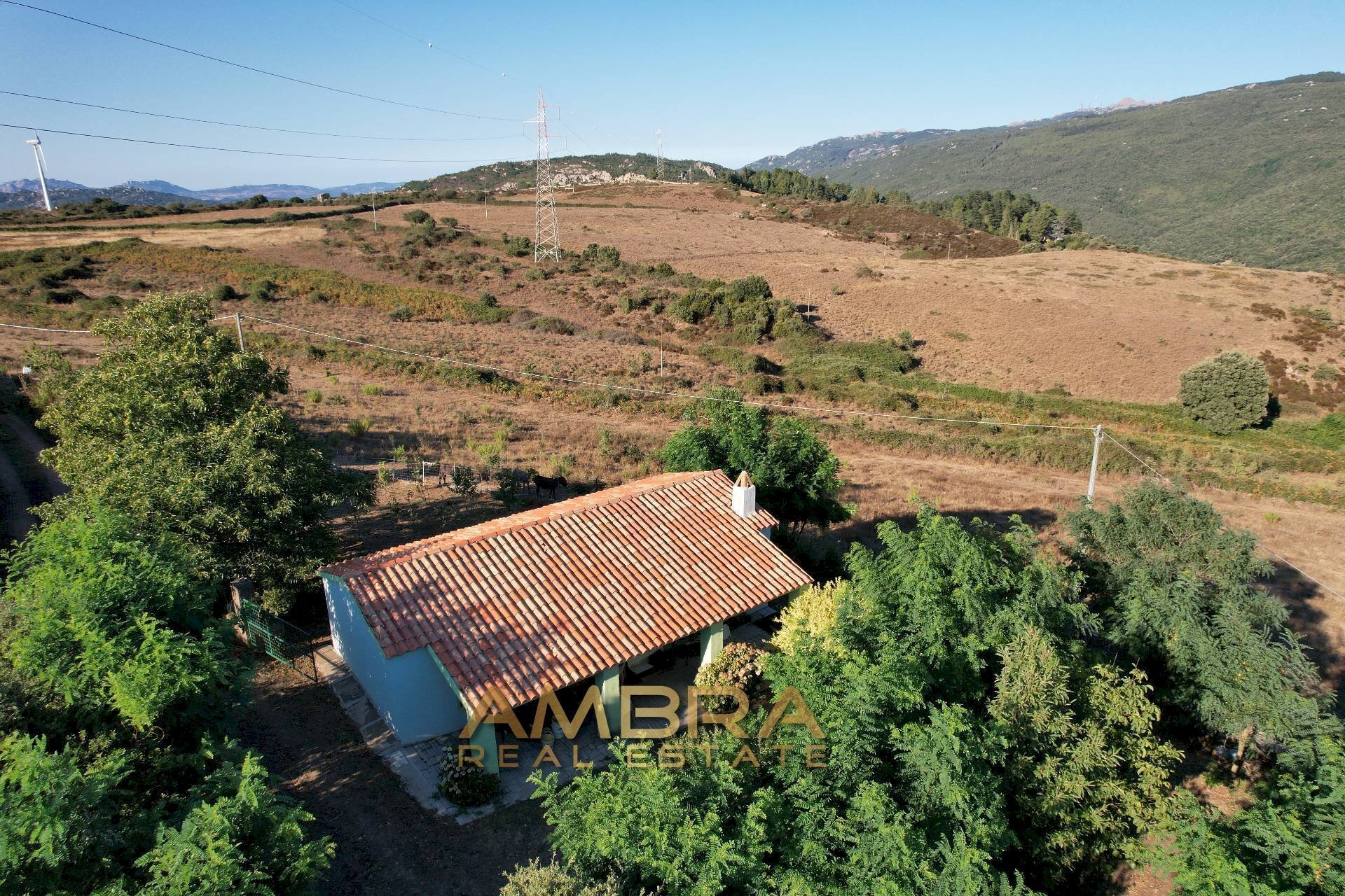 Foto 2 - Rustico Oschiri - foto 2