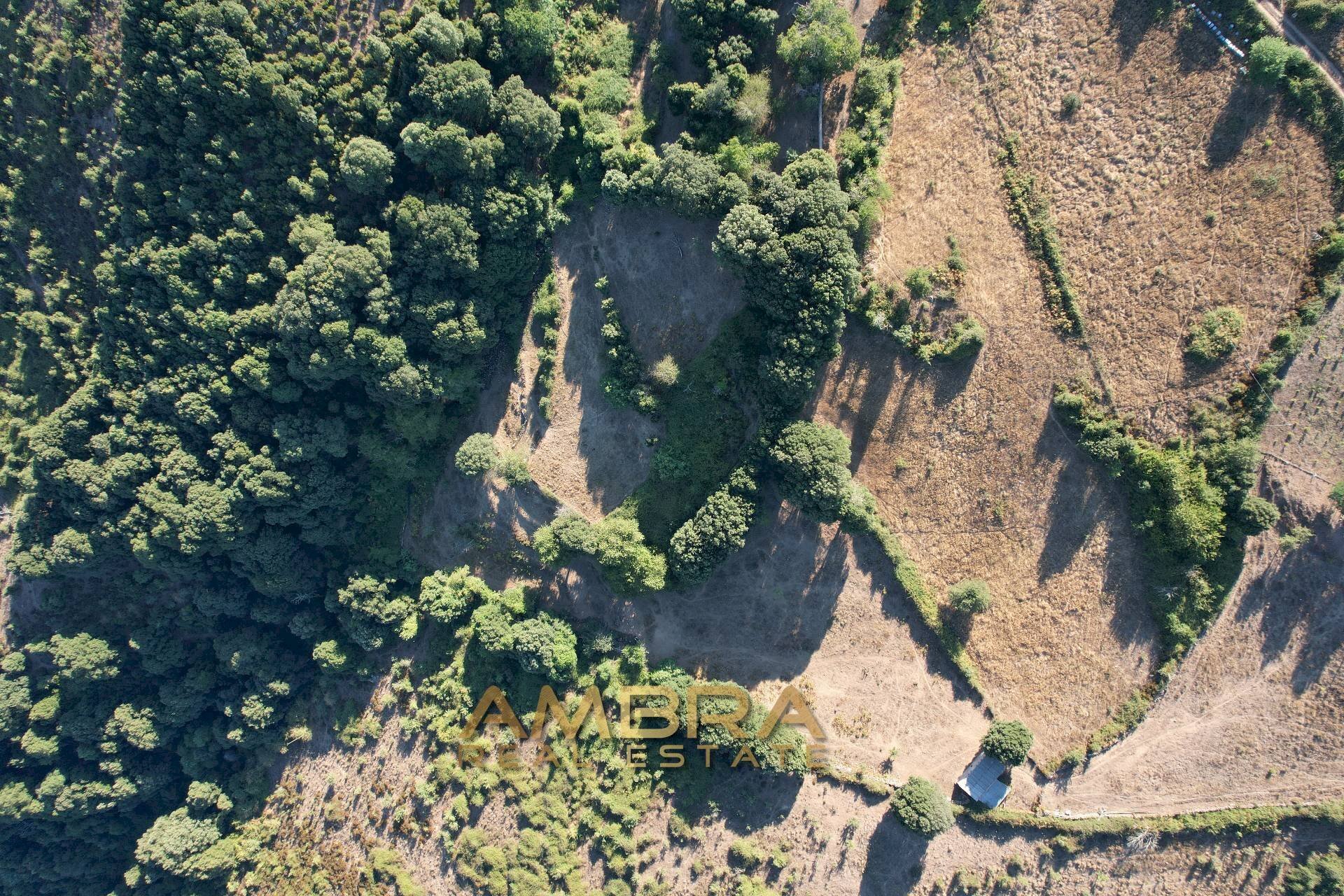 Foto 3 - Rustico Oschiri - foto 3