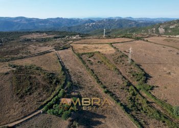 Foto 4 - Rustico Oschiri - foto 4