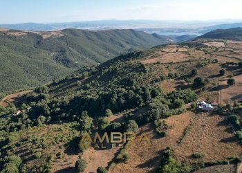 Foto 7 - Rustico Oschiri - foto 7